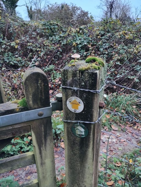 tiny mushroom on waymarker post